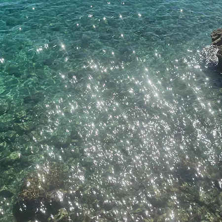 Cortile Lo Cicero 10- Al Centro Tra Mare E Città- *